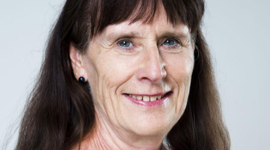 Karin Rönnerman